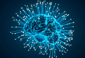 ODL 349:  Wired for Meaning: The Neuroscience of Metaphors in Therapy